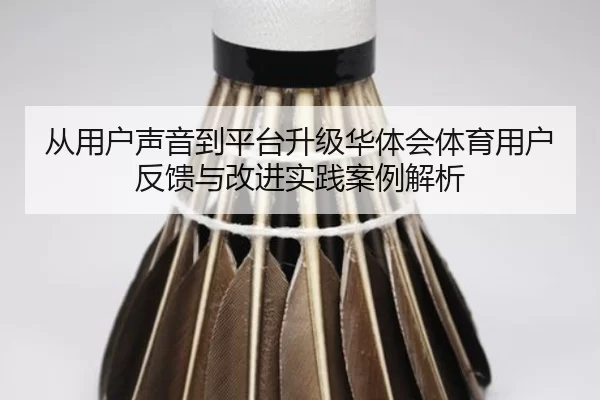从用户声音到平台升级华体会体育用户反馈与改进实践案例解析